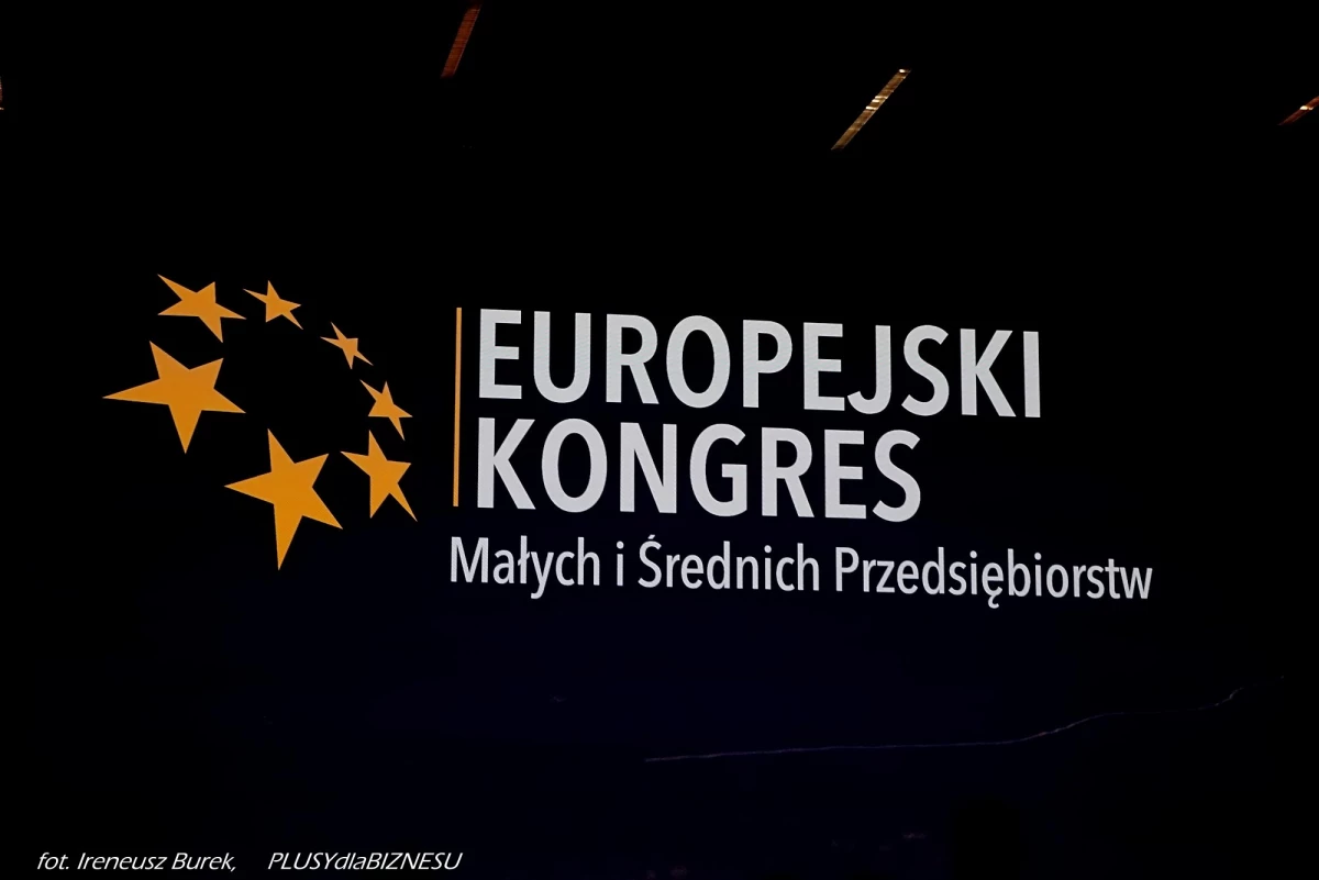 Potencjał i wyzwania na polsko-czeskim pograniczu Śląska — 12