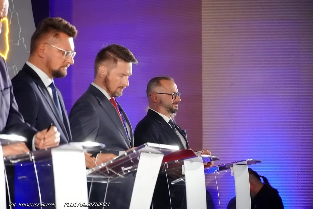Potencjał i wyzwania na polsko-czeskim pograniczu Śląska — 9