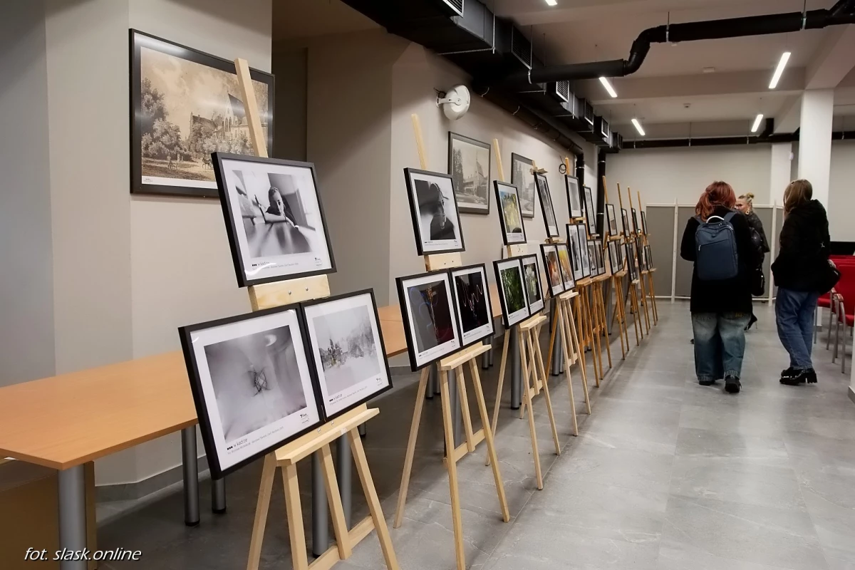 Wernisaż wystawy fotograficznej "Światło. Cień" podczas Światowego Dnia Informacji Na Temat Rozwoju — 31