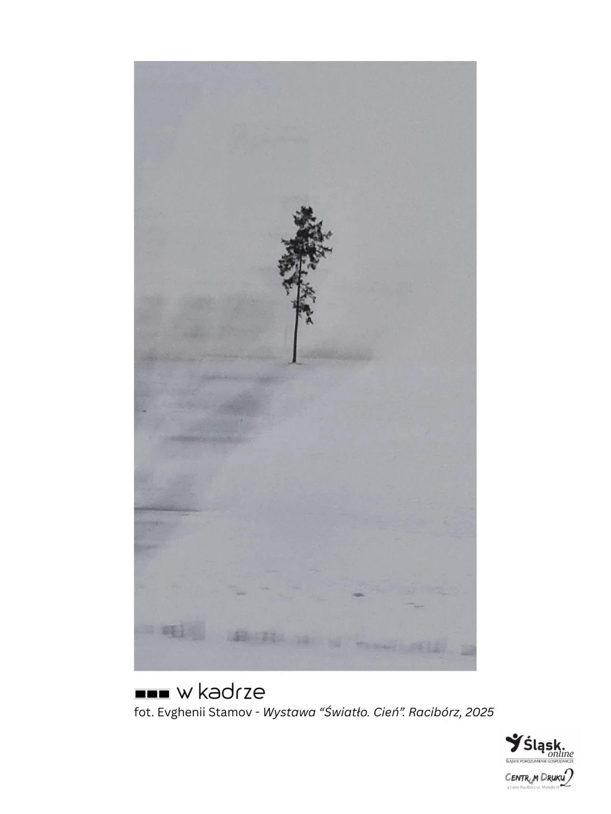 Wernisaż wystawy fotograficznej "Światło. Cień" podczas Światowego Dnia Informacji Na Temat Rozwoju — 6