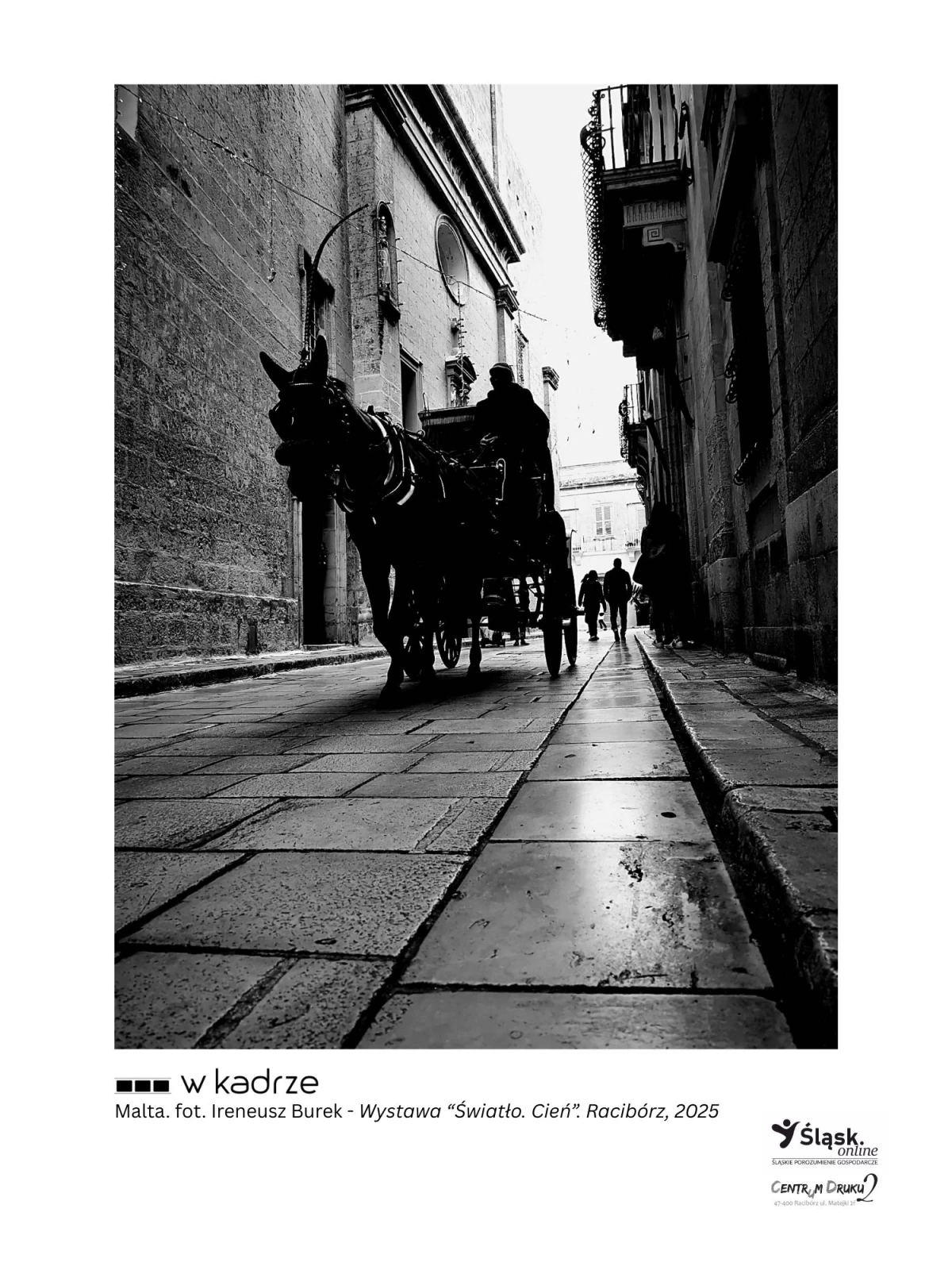 Wernisaż wystawy fotograficznej "Światło. Cień" podczas Światowego Dnia Informacji Na Temat Rozwoju — 12