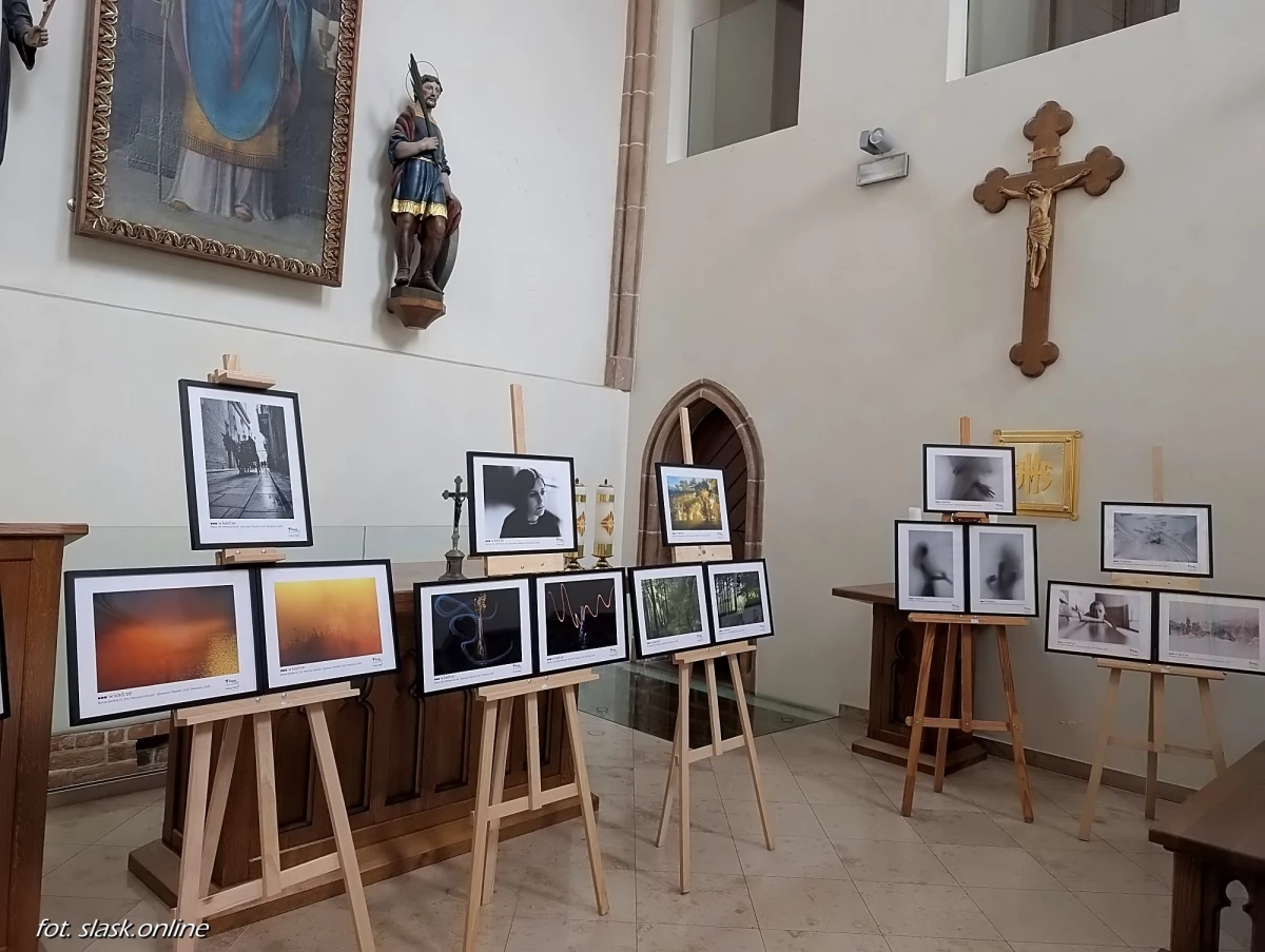 Wernisaż wystawy fotograficznej "Światło. Cień" podczas Światowego Dnia Informacji Na Temat Rozwoju — 50