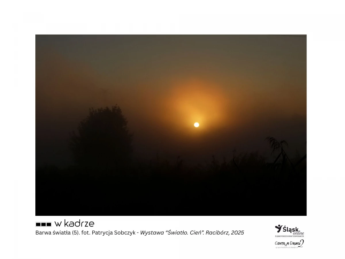 Wernisaż wystawy fotograficznej "Światło. Cień" podczas Światowego Dnia Informacji Na Temat Rozwoju — 25