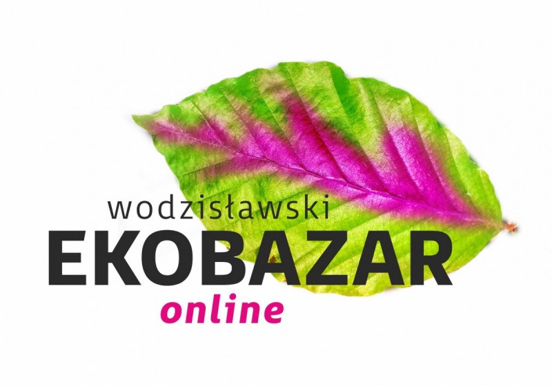 "Wodzisławski Ekobazar" w internetowej odsłonie
