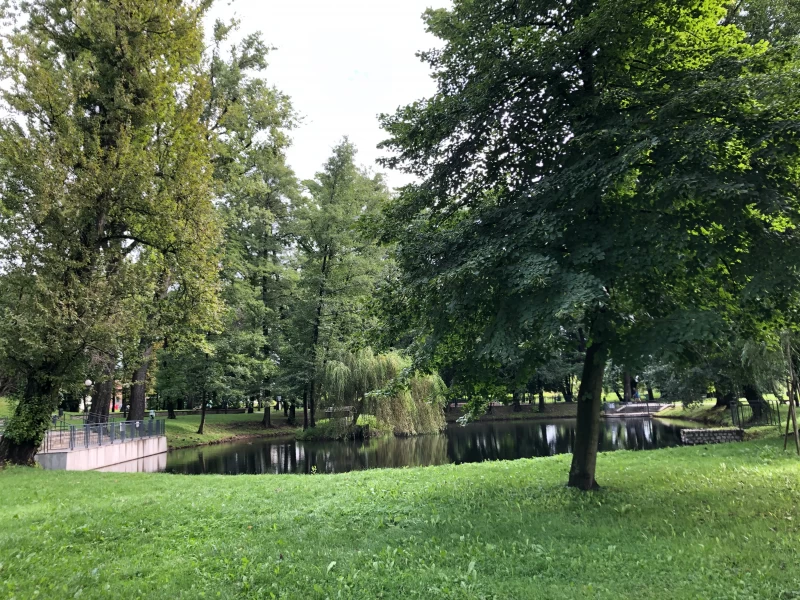 Zielone płuca w centrum miasta- Park Zamkowy w Wodzisławiu Śląskim