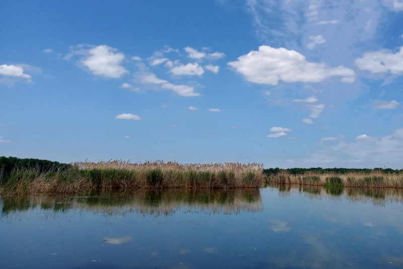 Światowy Dzień Mokradeł. Ludzkość ich potrzebuje