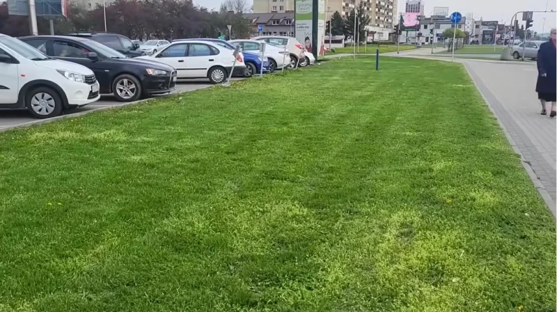 Miasta koszą trawę w kwietniu. "O kilka tygodni za wcześnie"