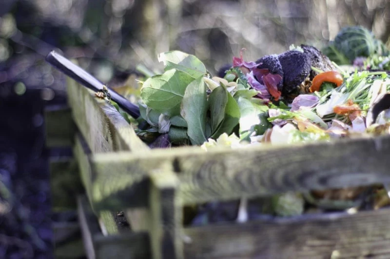 Śląskie gminy chcą wliczania do wskaźnika recyklingu bioodpadów z kompostowników