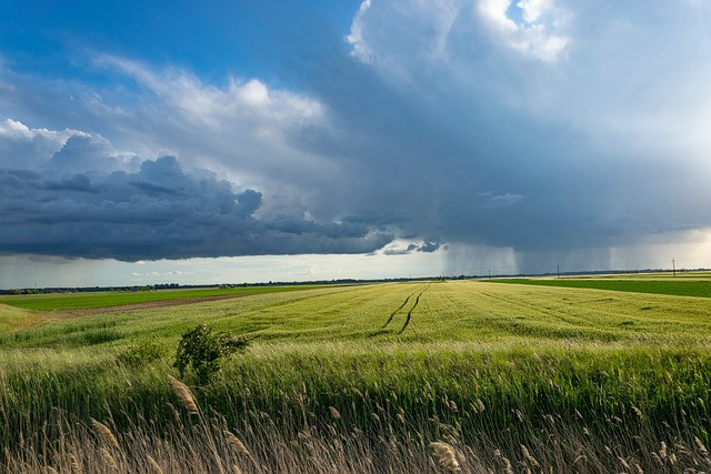 Szkody wywołane zmianą klimatu: podtopienia, susze. Ważne zapisy w polisach