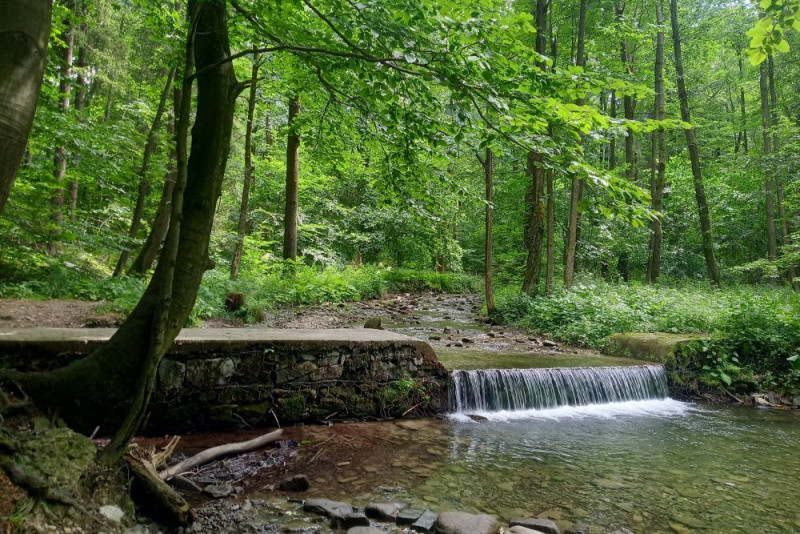Polacy oczekują większej odpowiedzialności firm w związku ze zmianami klimatu