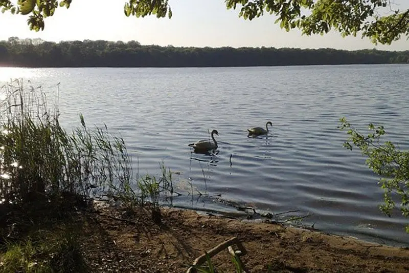 Lasy, mokradła i oceany równie ważne w walce o klimat jak zielona energia