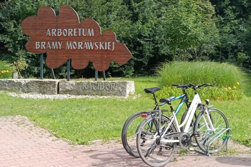 Rower jako styl życia. 41% Polaków nie zamierza z niego rezygnować