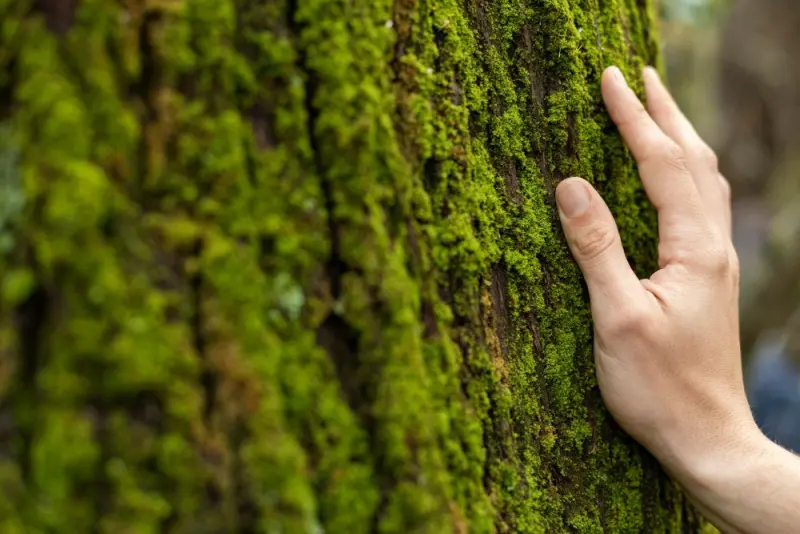 Zmiany klimatyczne zwiększają ryzyko chorób i przedwczesnych zgonów Zmiany klimatyczne zwiększają ryzyko chorób i przedwczesnych zgonów