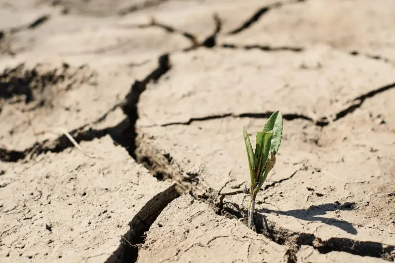 Polska nie jest przygotowana na zmiany klimatu