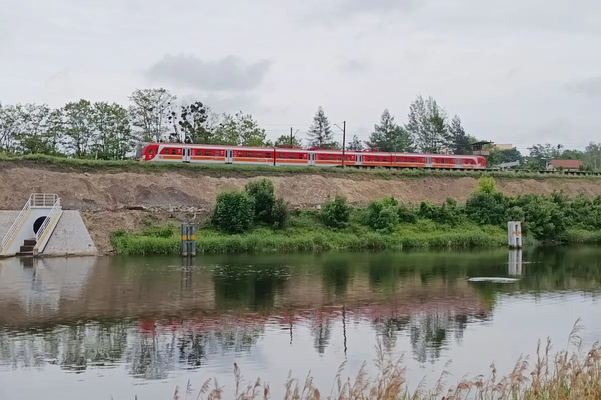 Złota alga ponownie w Kanale Gliwickim. Kopalnie to nie jedyny czynnik