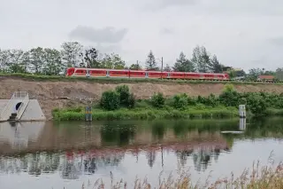 Złota alga ponownie w Kanale Gliwickim. Kopalnie to nie jedyny czynnik