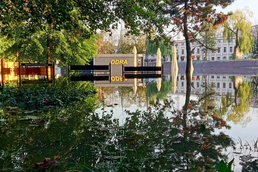 Zmiany klimatu mogą kosztować Polskę nawet 124 mld zł rocznie