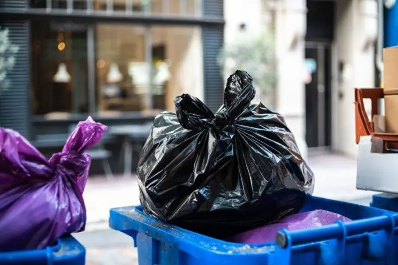 Obce zvíře u popelnic může od roku 2027 znamenat pokutu