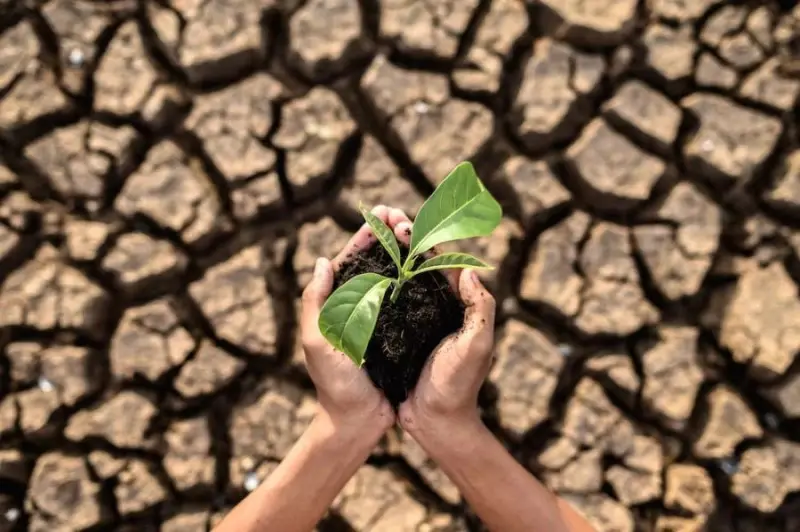 Polacy nie wiedzą, komu wierzyć w sprawie klimatu. Dezinformacja wykorzystuje społeczne lęki