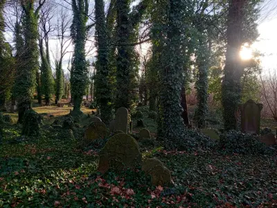 Stary Cmentarz Żydowski w Cieszynie