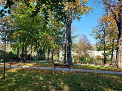 Park przy kościele św. Trójcy