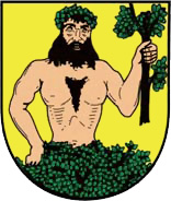Herb — Albrechtice