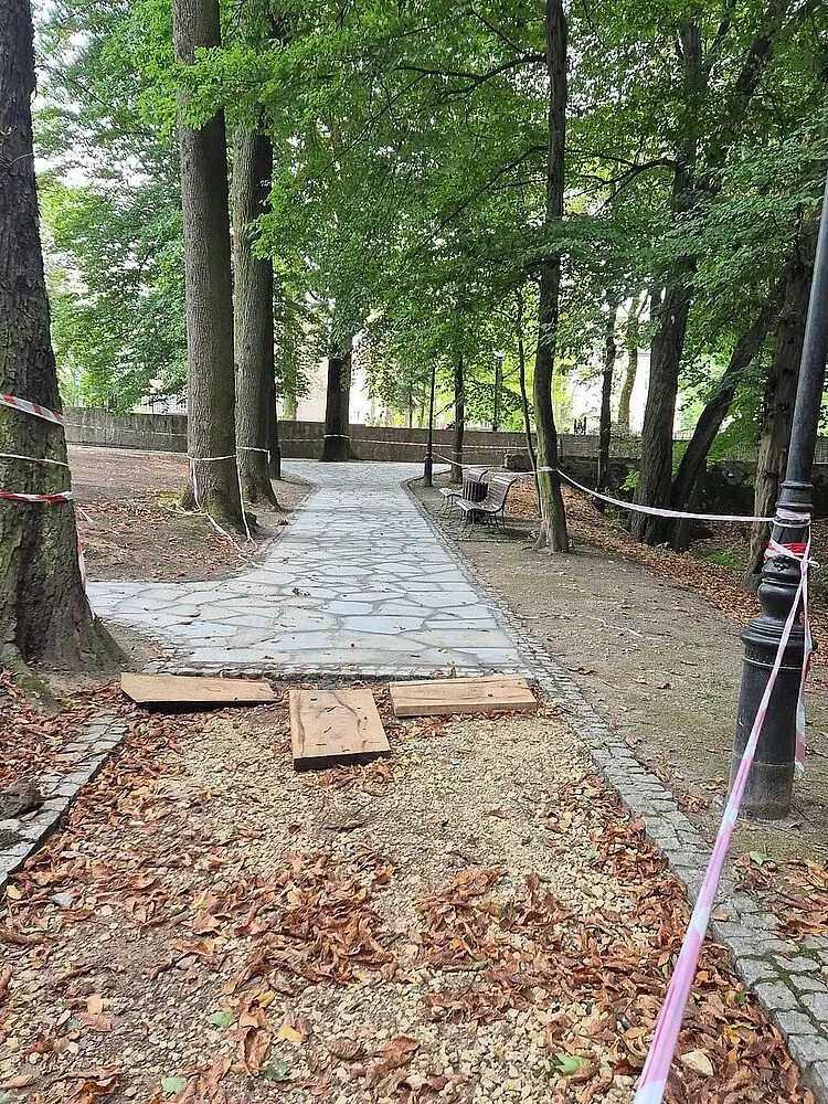 Dolina Mikołaja pięknieje. Trwa kolejny etap prac w Parku Zdrojowym — 6