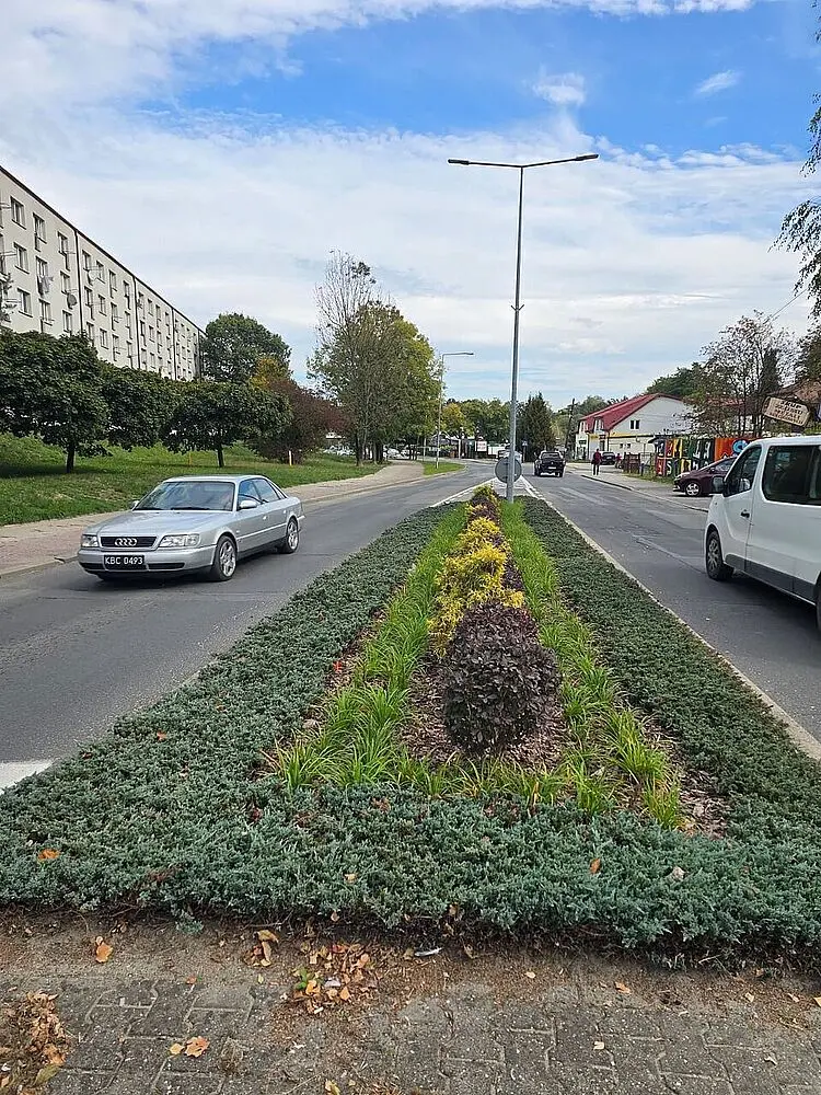 V Jastrzębiu-Zdroju přibylo přes sedm tisíc nových rostlin