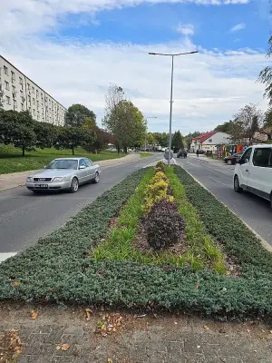Ponad 7 tys. nowych roślin w Jastrzębiu-Zdroju — 10