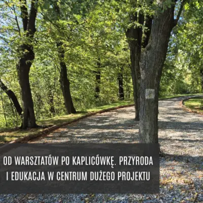 4000 drzew na Kaplicówce. Skoczów inwestuje w przyrodę i edukację ekologiczną — 6