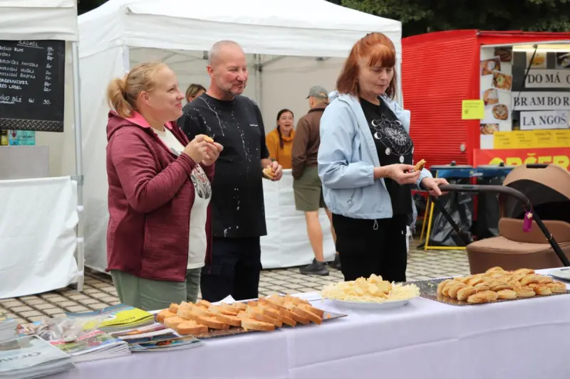 Plenerowy finał lata: „Vinohraní & Orlová na fest” w Orłowej