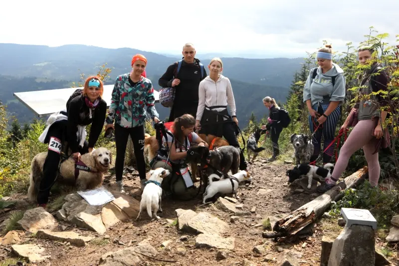 Puchar Polski w dogtrekkingu wraca do Wisły