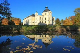 Dnia Drzewa w pałacu w Kravařach