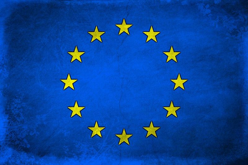 II Europejski Piknik Gospodarczy w Radlinie