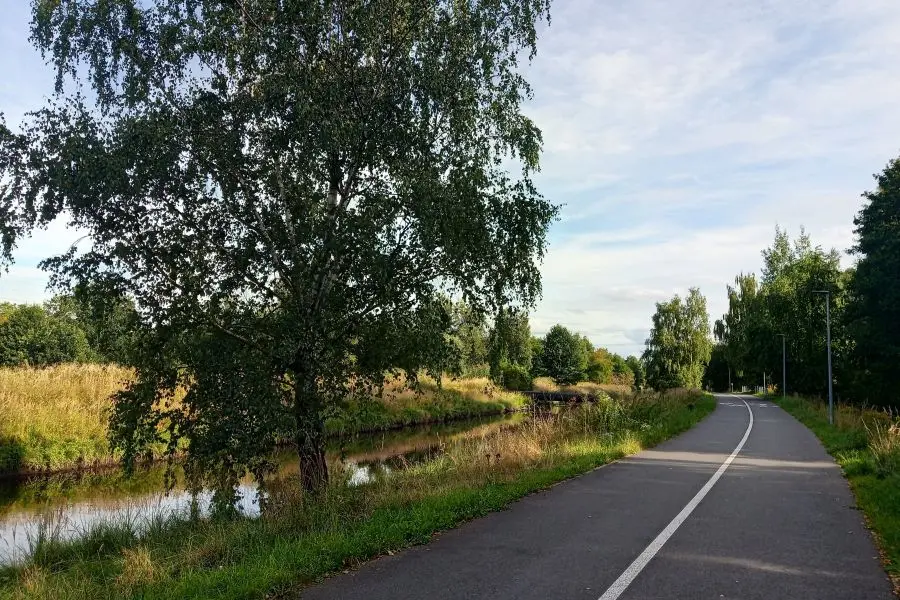 Rybnik włącza się w europejską inicjatywę przeciwko smogowi
