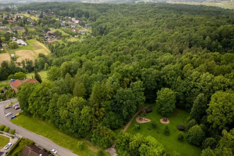Frydek-Mistek rewitalizuje las. Powstaną ścieżki edukacyjne i trasy spacerowe