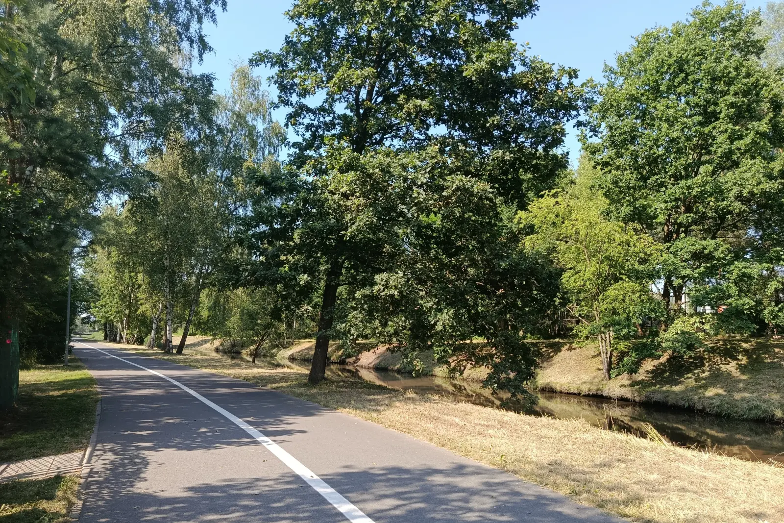 Rybnik i Politechnika Śląska opracowały projekty szkół odpornych na skutki zmian klimatu