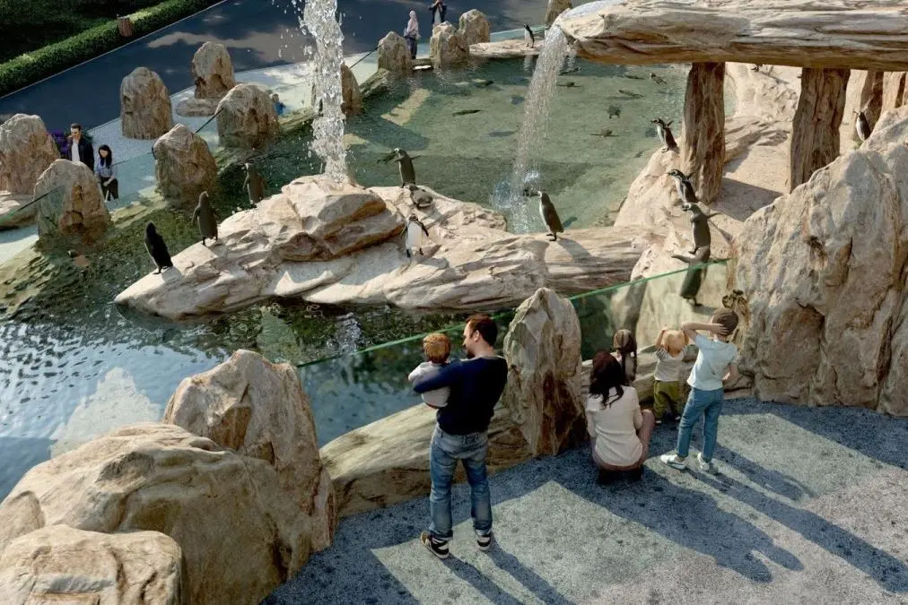Ostrawskie zoo zyska nową atrakcję. Trwa budowa pawilonu pingwinów